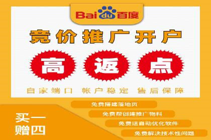 百度竞价广告运营全解析：成功案例揭秘